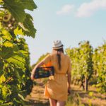 Dal vigneto alla bottiglia: la nascita di un vino di famiglia